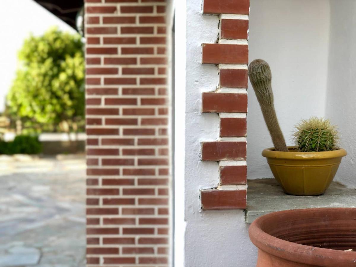 Villa Stone Nest Andros Livádhia Exterior foto